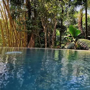  Chalet A Peace In Paradise Seychelles